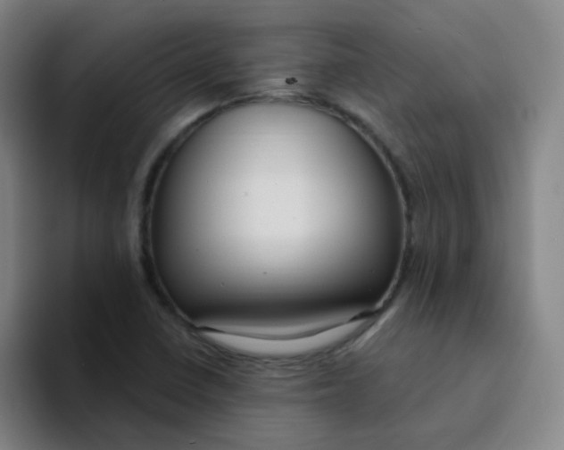 X0000094231410200711161900