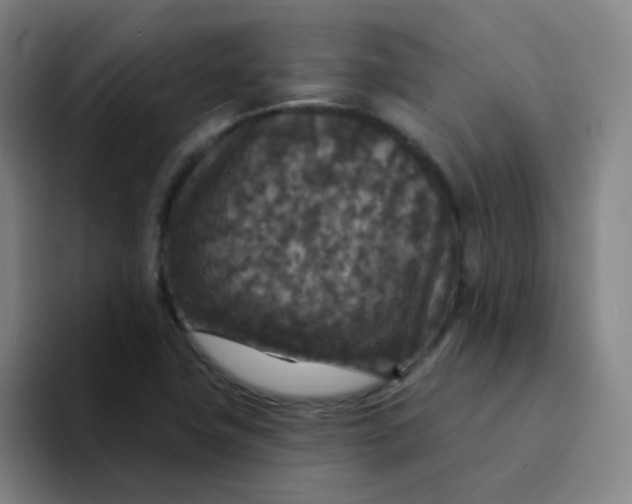 X0000094231411200711161900