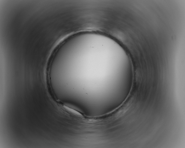 X0000094231412200711161900