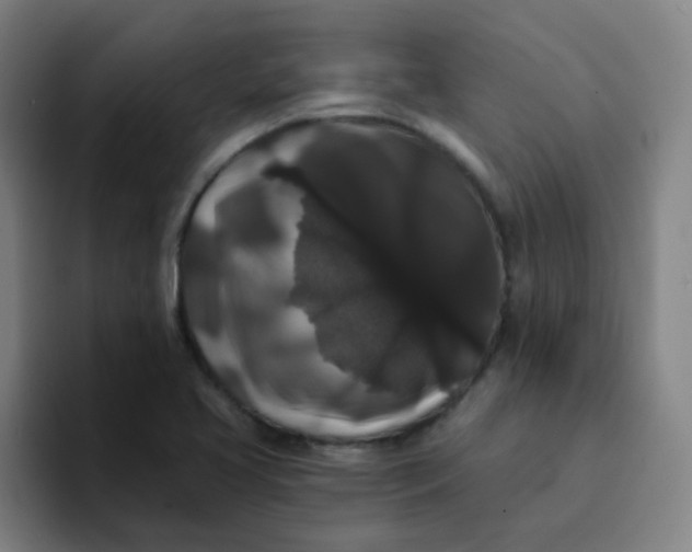 X0000094231413200711161900