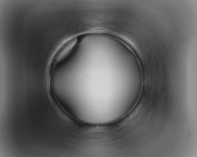 X0000094231414200711161900