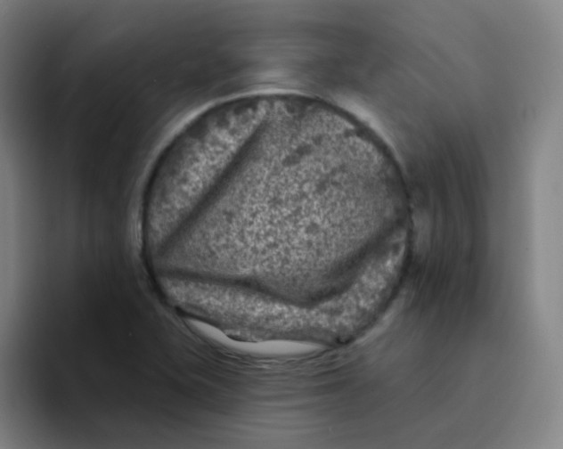 X0000094231415200711161900