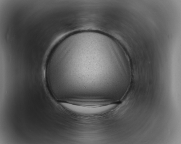 X0000094231416200711161900