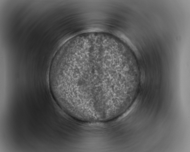 X0000094231417200711161900