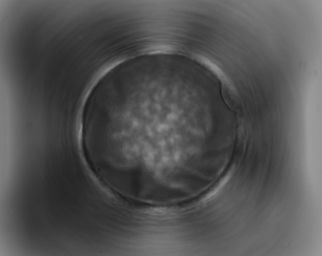 X0000094231418200711161900