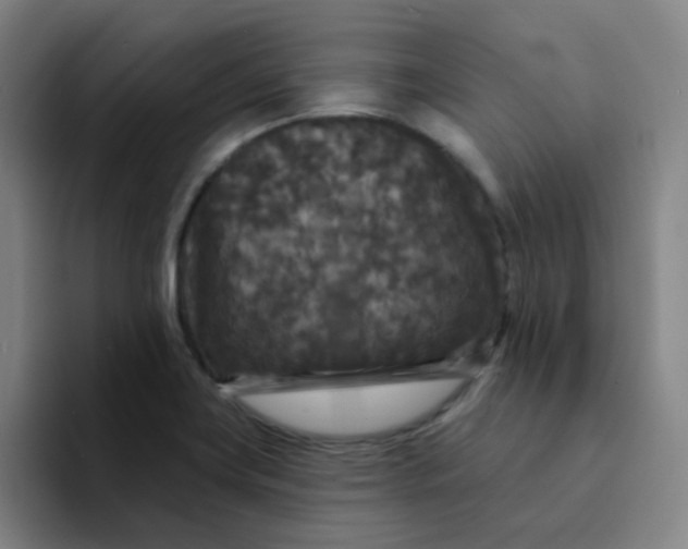 X0000094231419200711161900