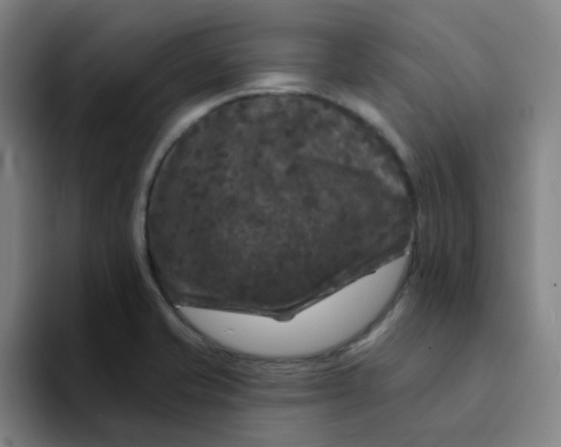 X0000094231421200711161900