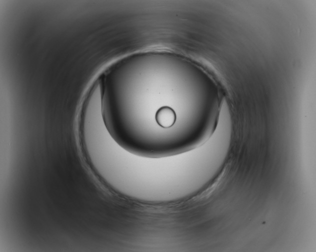 X0000094231422200711161900