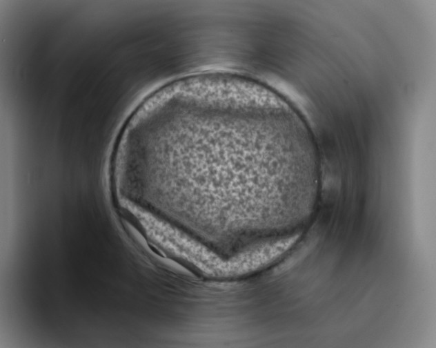 X0000094231423200711161900