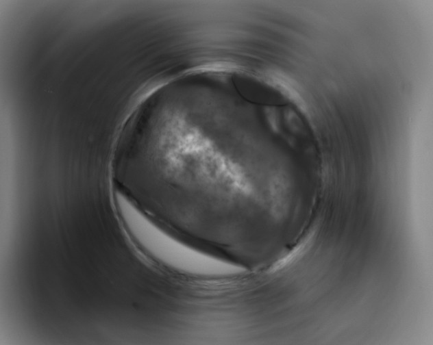 X0000094231425200711161900