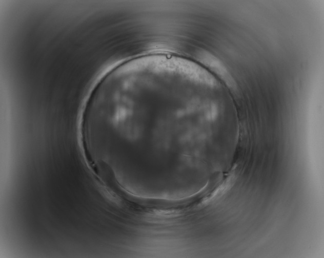 X0000094231427200711161900