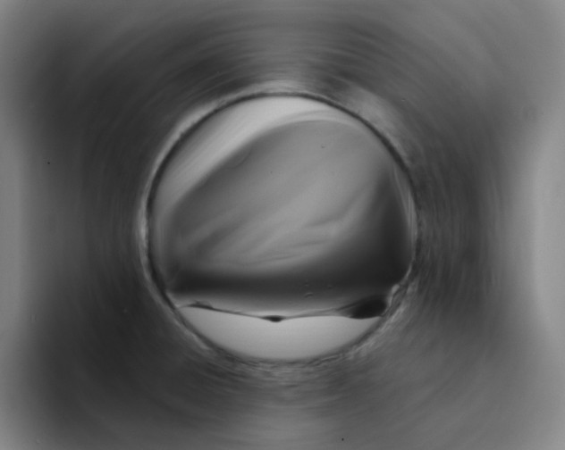 X0000094231428200711161900