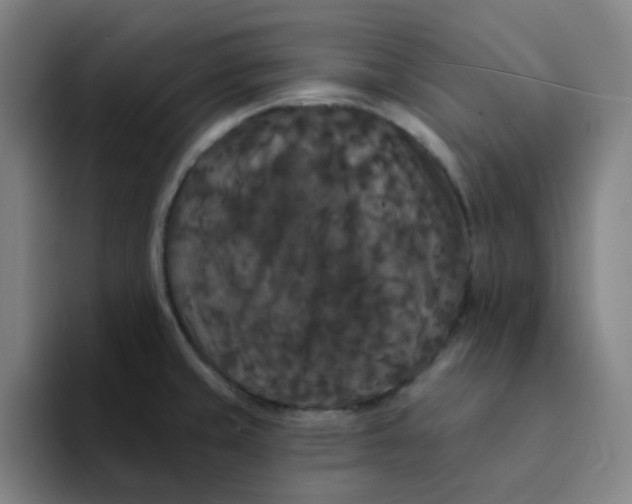 X0000094231429200711161900