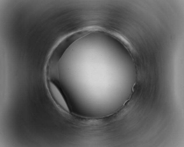 X0000094231430200711161900