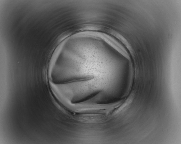 X0000094231433200711161900