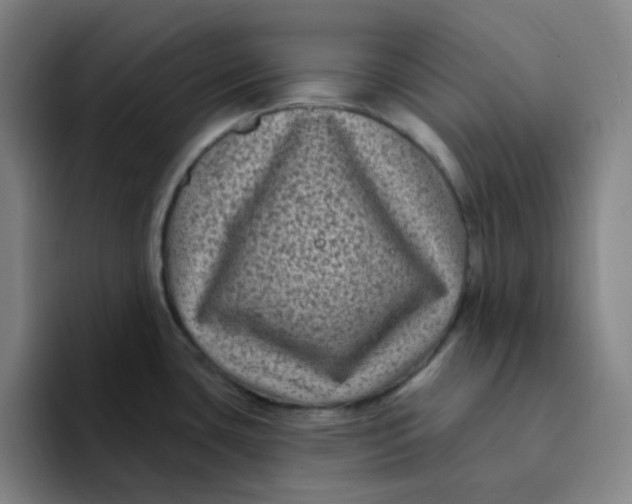 X0000094231435200711161900