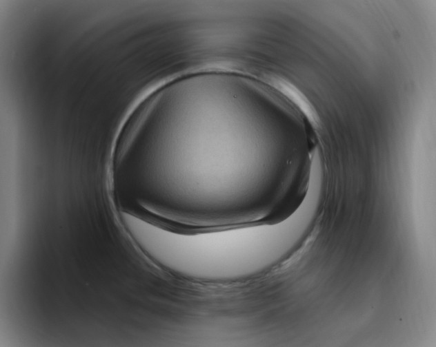 X0000094231436200711161900