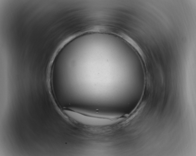 X0000094231437200711161900