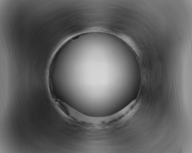 X0000094231438200711161900