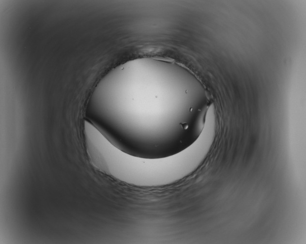 X0000094231441200711161900