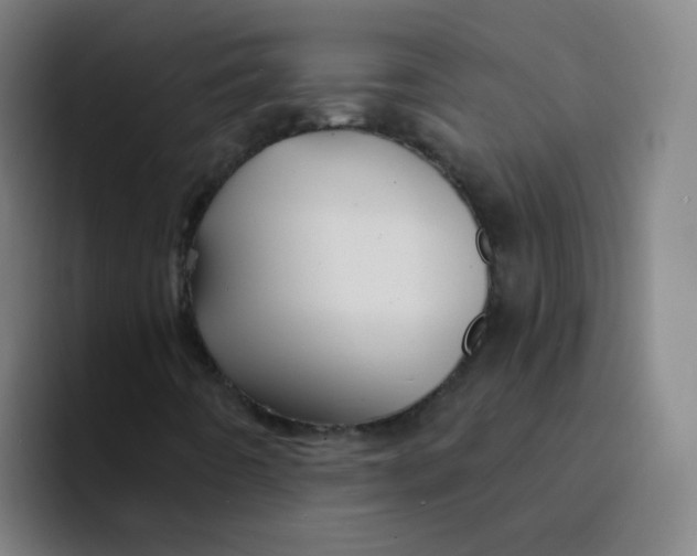 X0000094231442200711161900