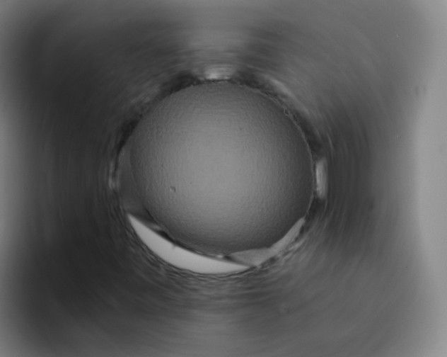 X0000094231443200711161900