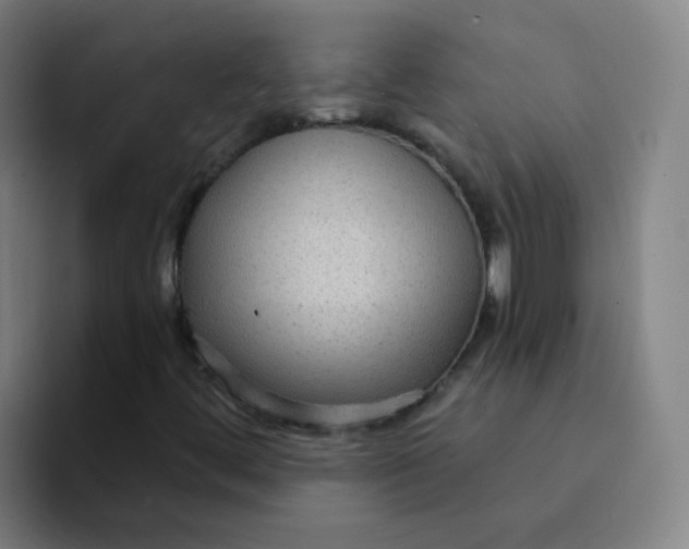 X0000094231444200711161900