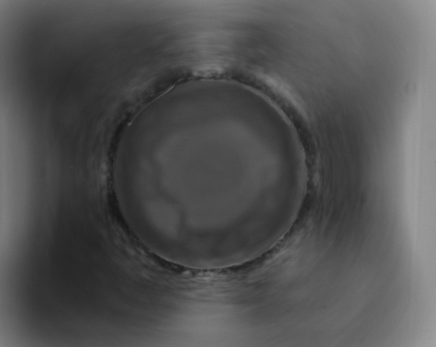 X0000094231445200711161900