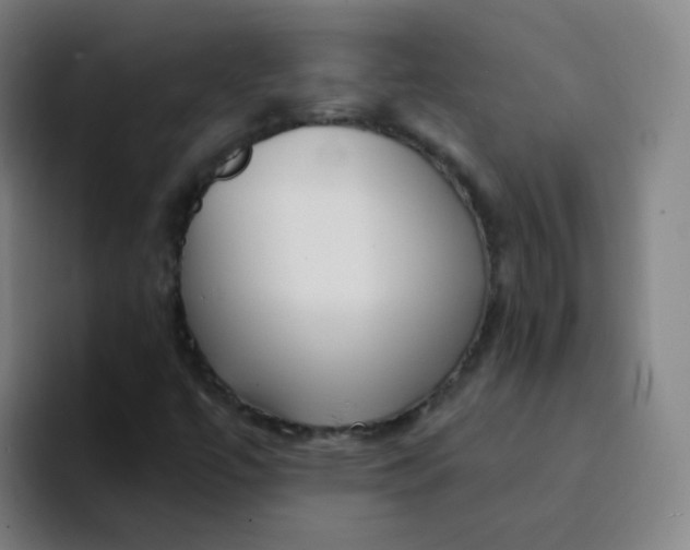 X0000094231447200711161900