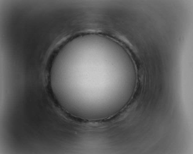 X0000094231448200711161900