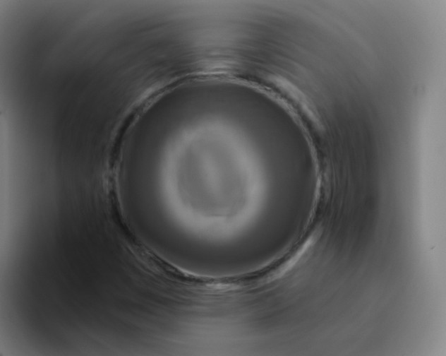 X0000094231449200711161900