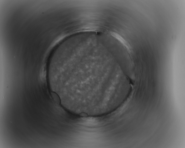 X0000094231450200711161900