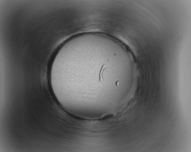 X0000094231452200711161900