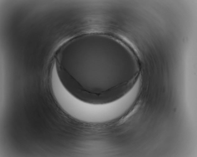 X0000094231453200711161900