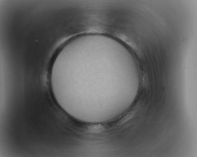 X0000094231454200711161900