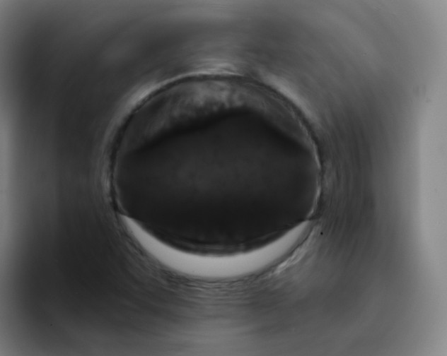 X0000094231455200711161900