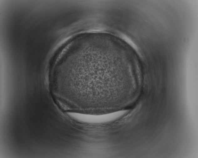 X0000094231456200711161859