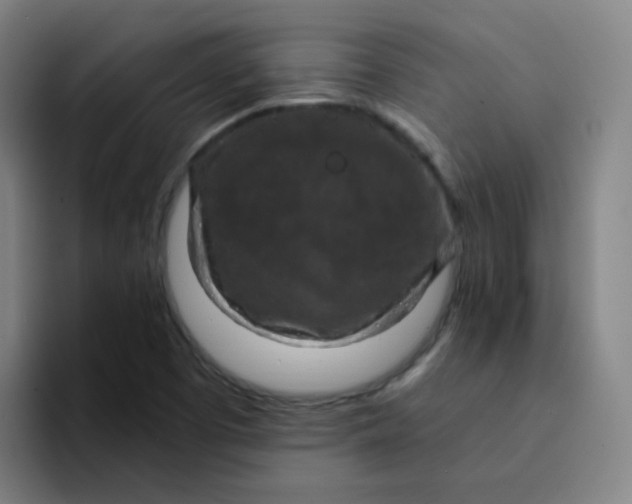 X0000094231457200711161859