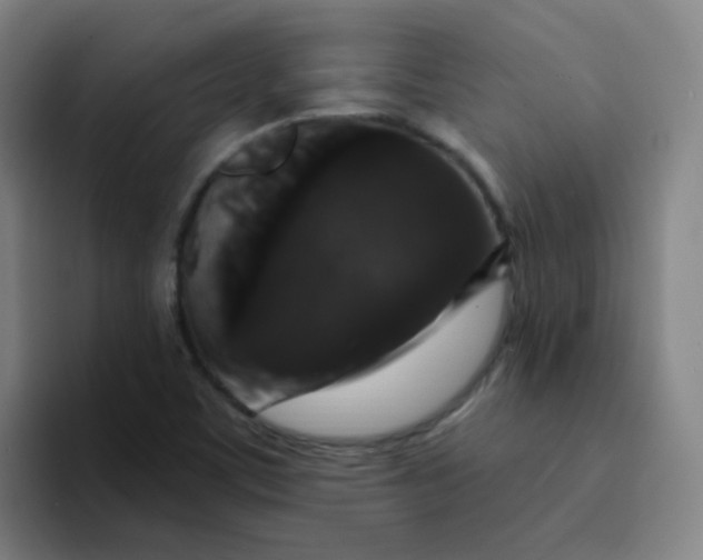 X0000094231459200711161859