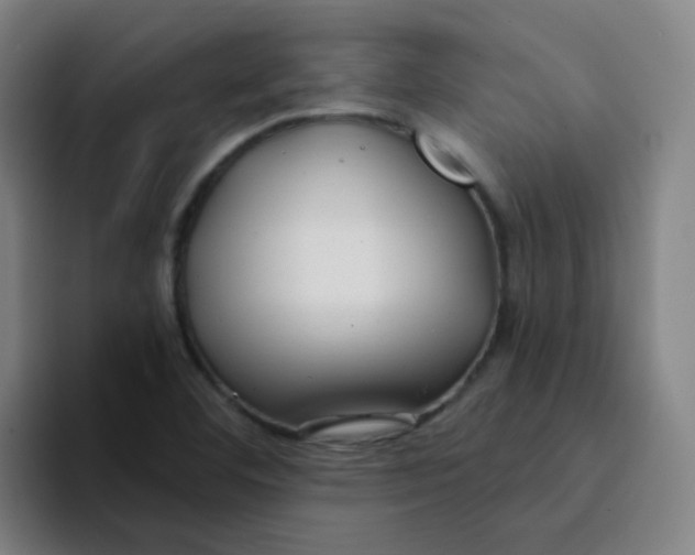 X0000094231460200711161859