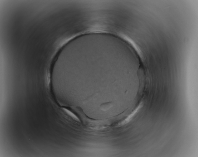 X0000094231461200711161859