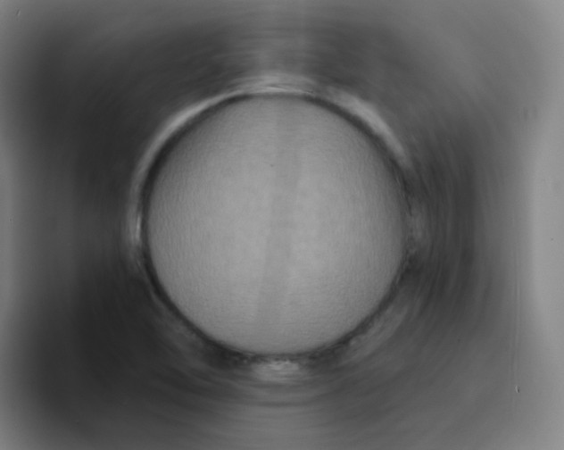 X0000094231462200711161859