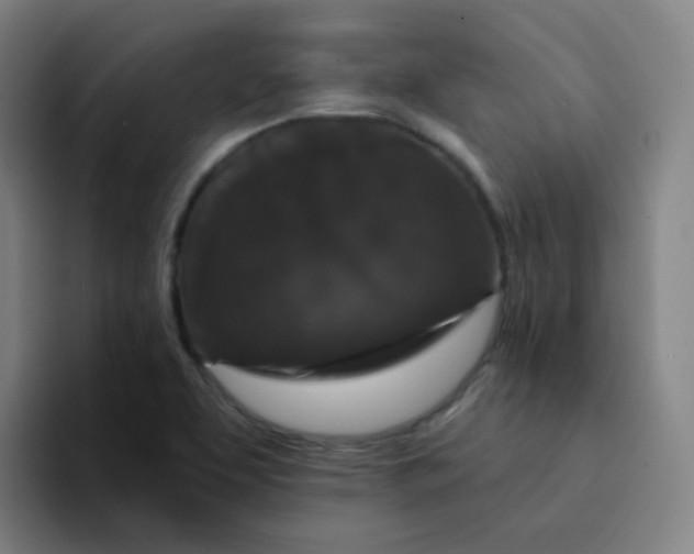 X0000094231463200711161859