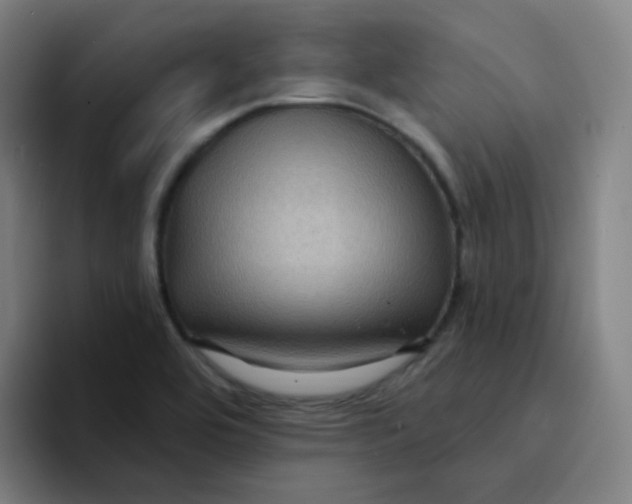 X0000094231464200711161859