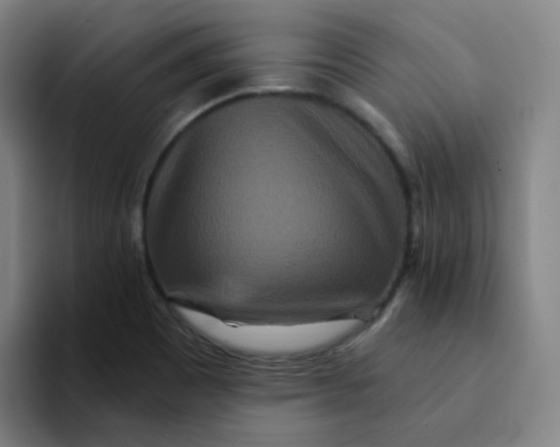 X0000094231465200711161859