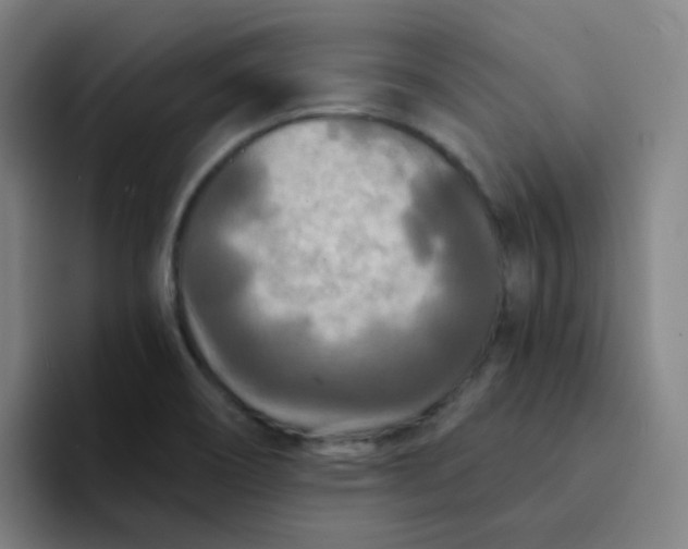 X0000094231466200711161859