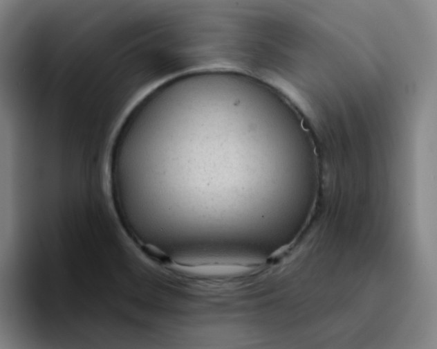 X0000094231468200711161859