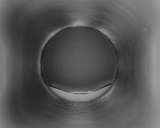 X0000094231469200711161859