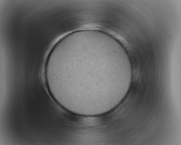 X0000094231470200711161859