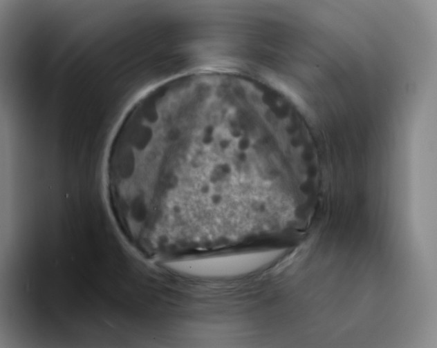 X0000094231471200711161859